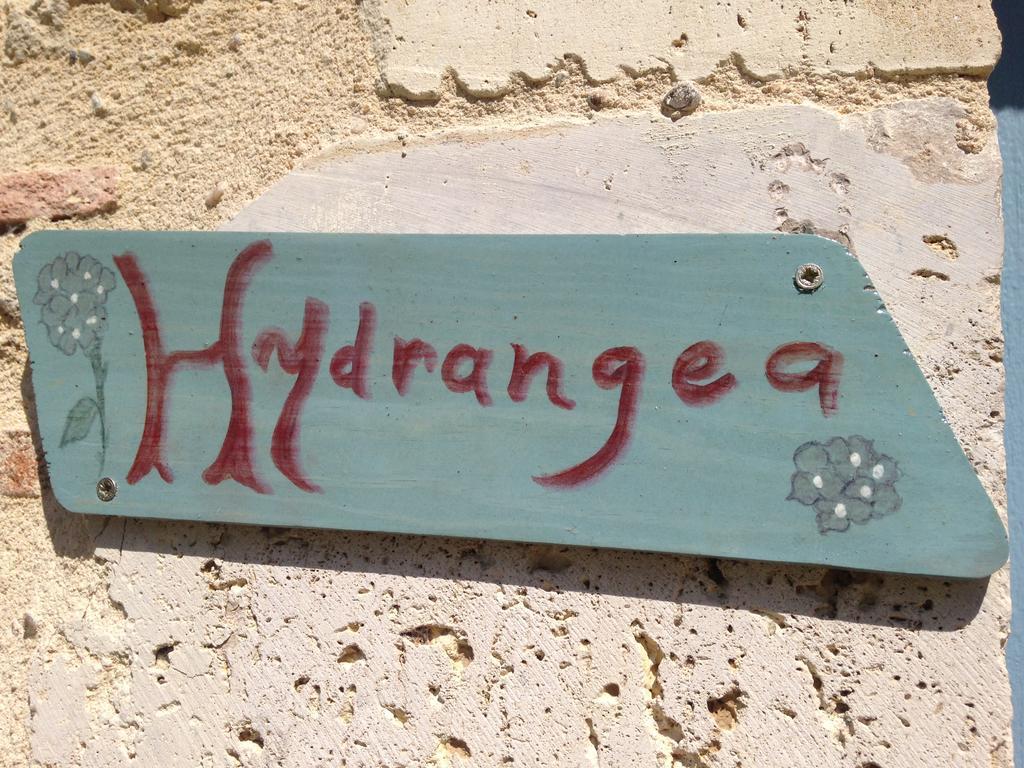 Chambres D'Hotes Du Clos Semper Felix Sainte-Bazeille Εξωτερικό φωτογραφία